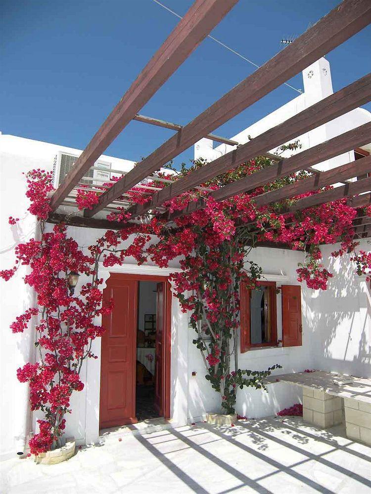 Villa Vasilis Mykonos Town Extérieur photo