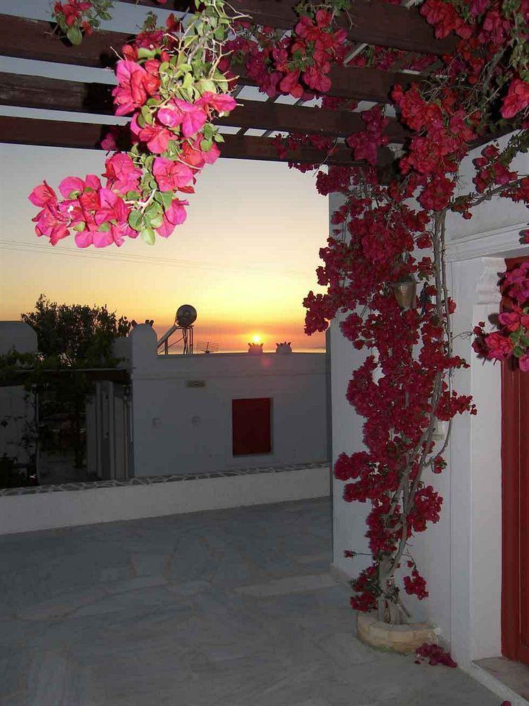 Villa Vasilis Mykonos Town Extérieur photo